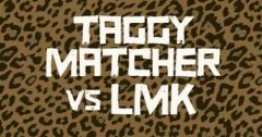EXPRESSO : TAGGY MATCHER